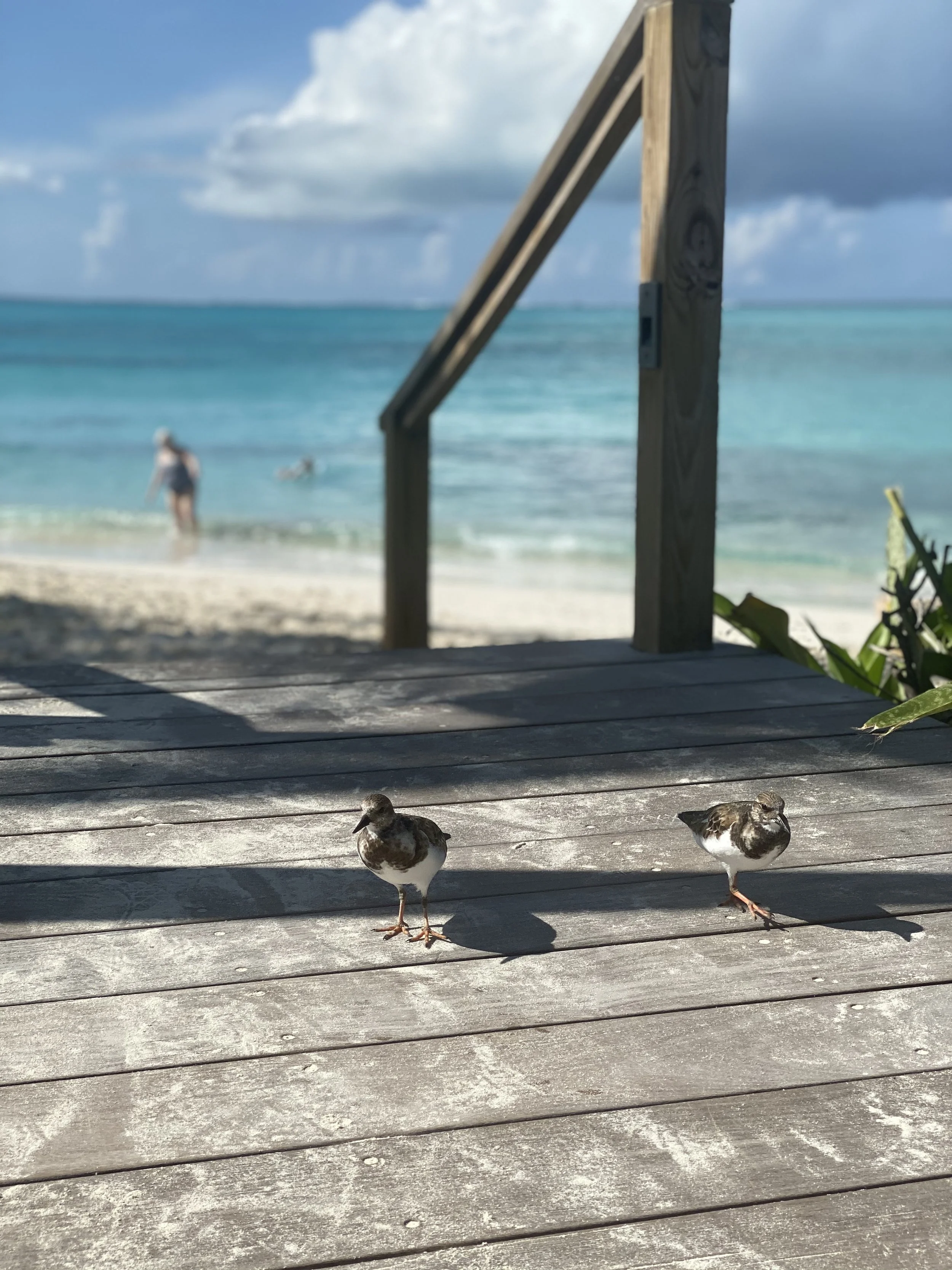 Grace Bay, Turks & Caicos