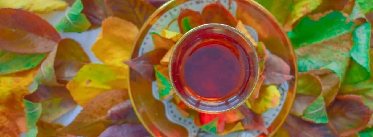 Tea Farms: Where It Begins