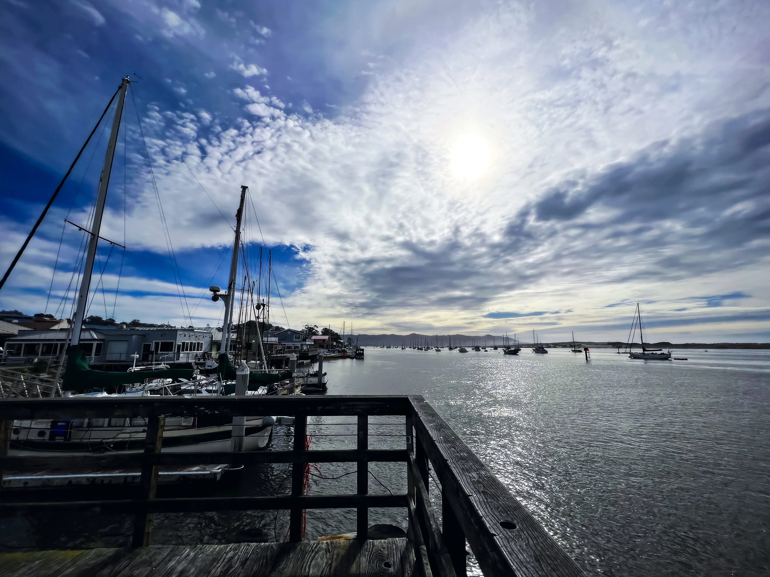 B9ADAE7E-99E4-49CE-8EB0-EC146179FF64.JPG