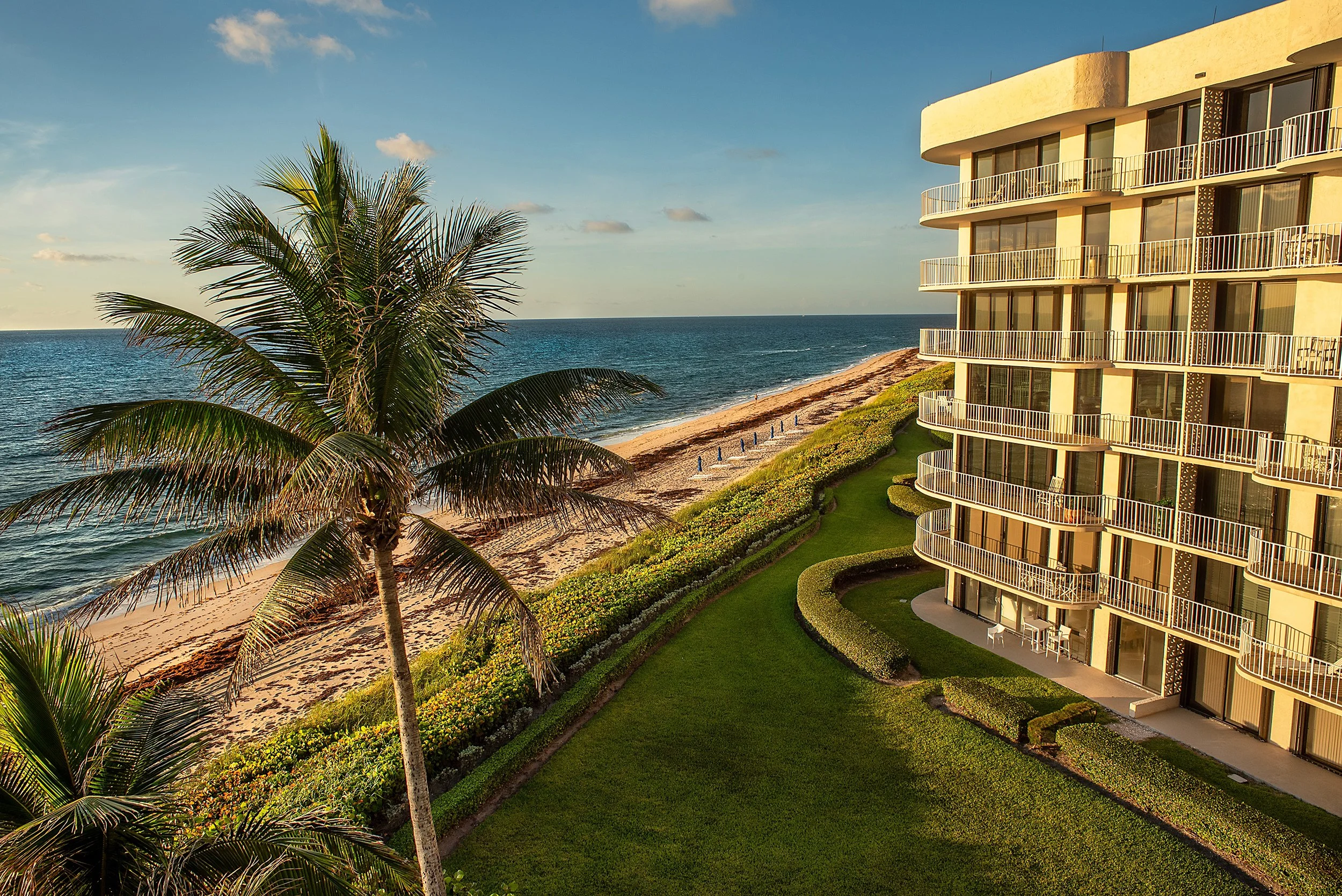 Modern beachfront resort building with balconies overlooking the ocean, surrounded by lush green landscaping and a sandy beach with a palm tree in the foreground, under a partly cloudy sky.