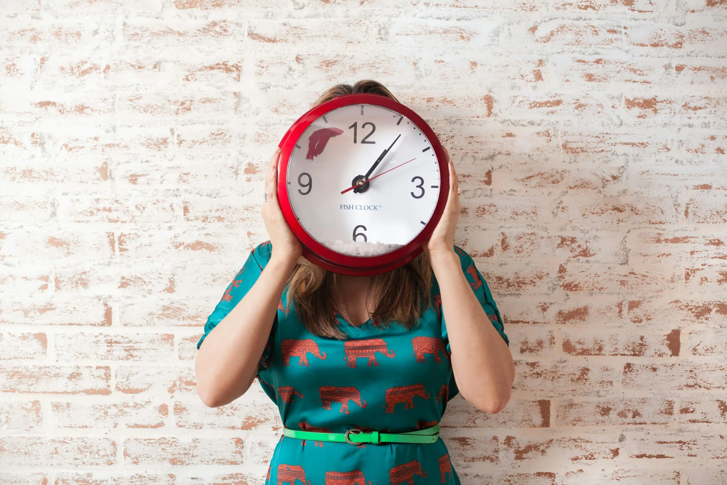 The Busy Parents Guide to Learning at Home in Just 10 Minutes a Day