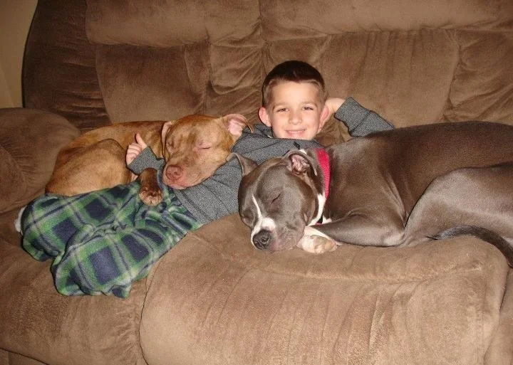 A boy lying on a couch with two dogs, all peacefully sleeping.