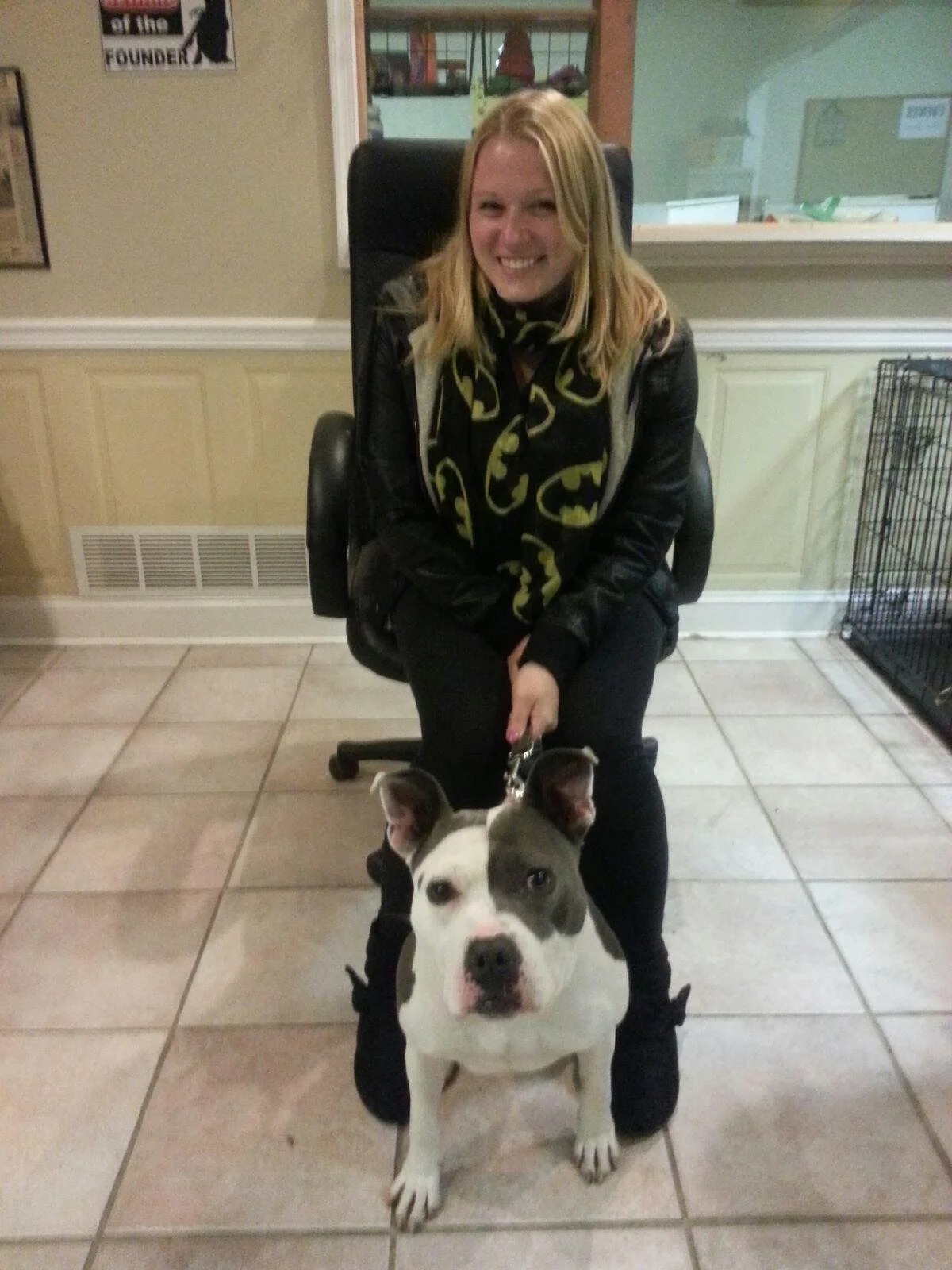 A woman sitting on a black office chair laughing, holding a leash attached to a white and gray dog with a muscular build, standing on beige tiled floor inside a room with beige walls and a window.