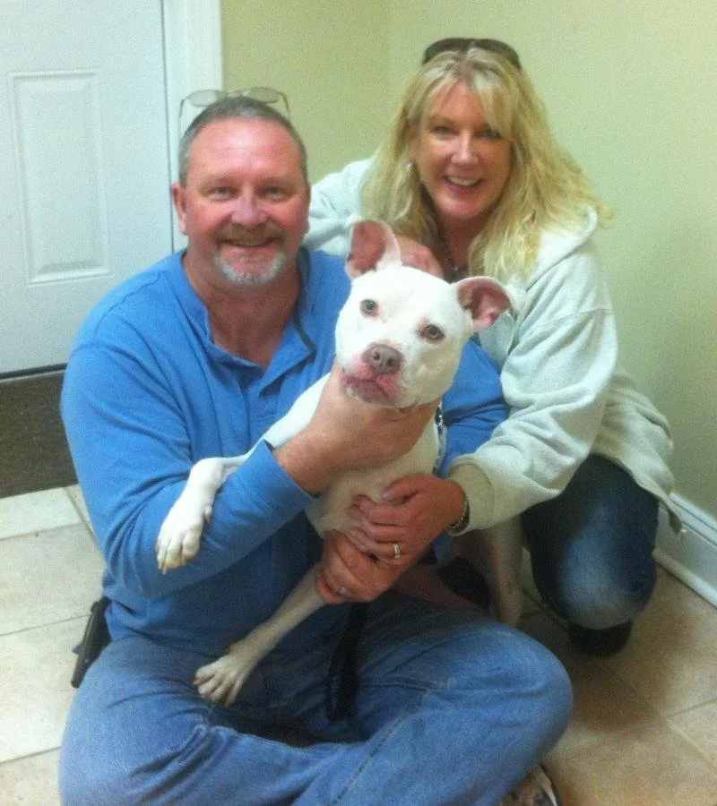 A smiling man with a beard, wearing a blue shirt, holding a white pitbull dog with a pink nose, while a woman with blonde hair, wearing a white hoodie, crouches next to them, both in a room with a beige wall and tile floor.