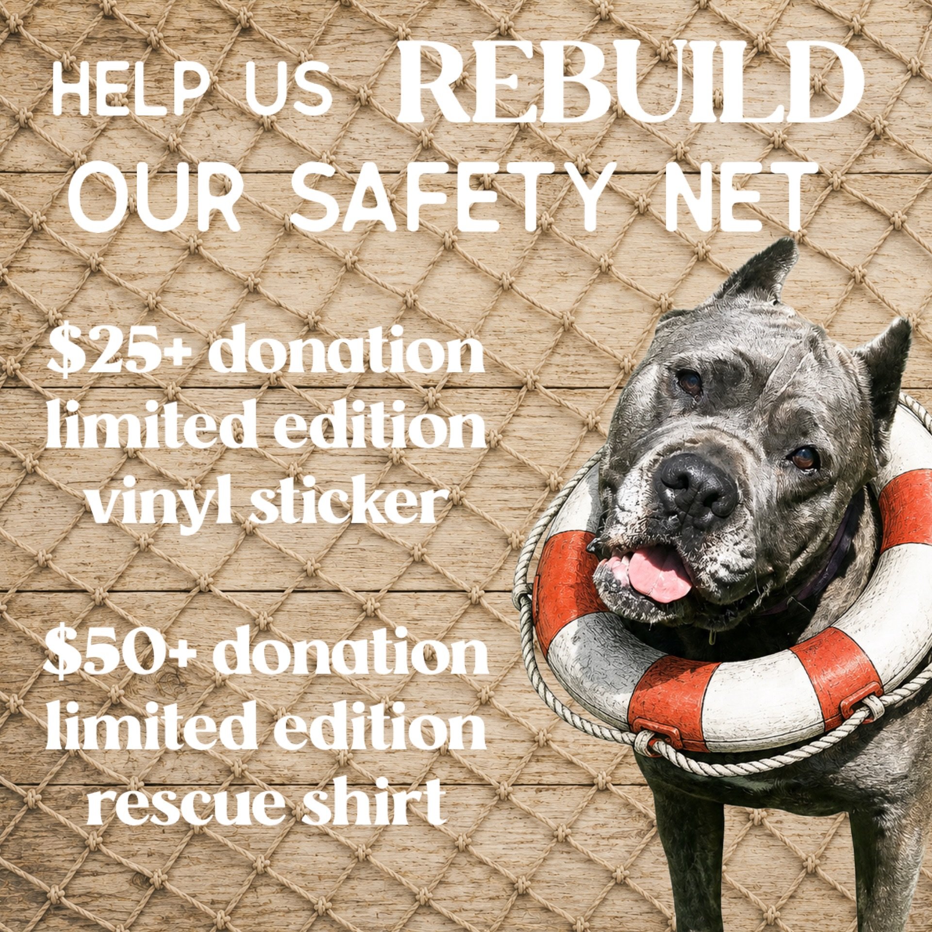Every rescue needs a safety net 🛟

It&rsquo;s what allows us to say yes to the dog who needs emergency medical care, the dog who needs time to heal, and the dog who simply has nowhere else to go.

We are so grateful for the support we&rsquo;ve recei
