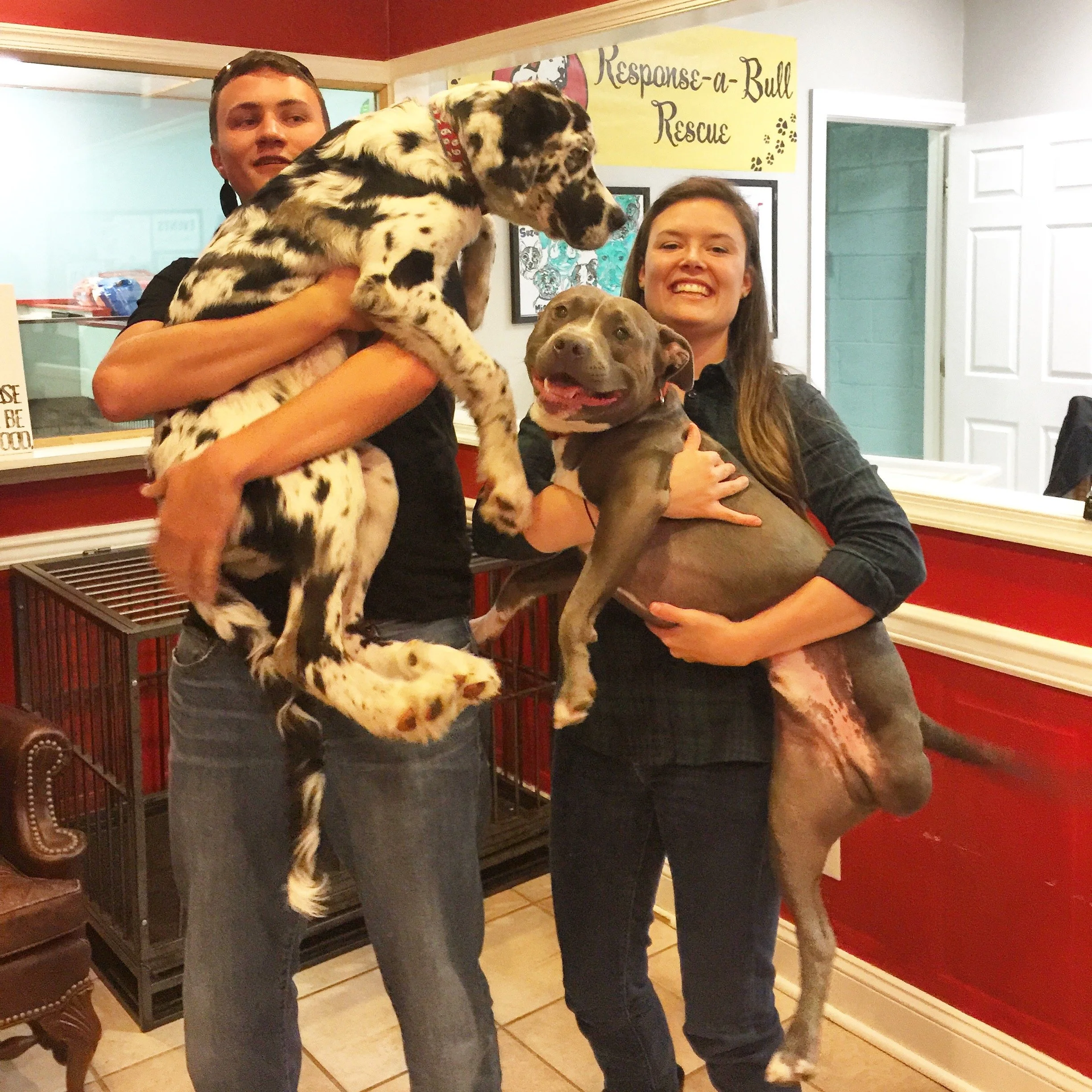 Two people holding puppies at an animal rescue shelter with a yellow sign that reads "Response-a-Bull Rescue."