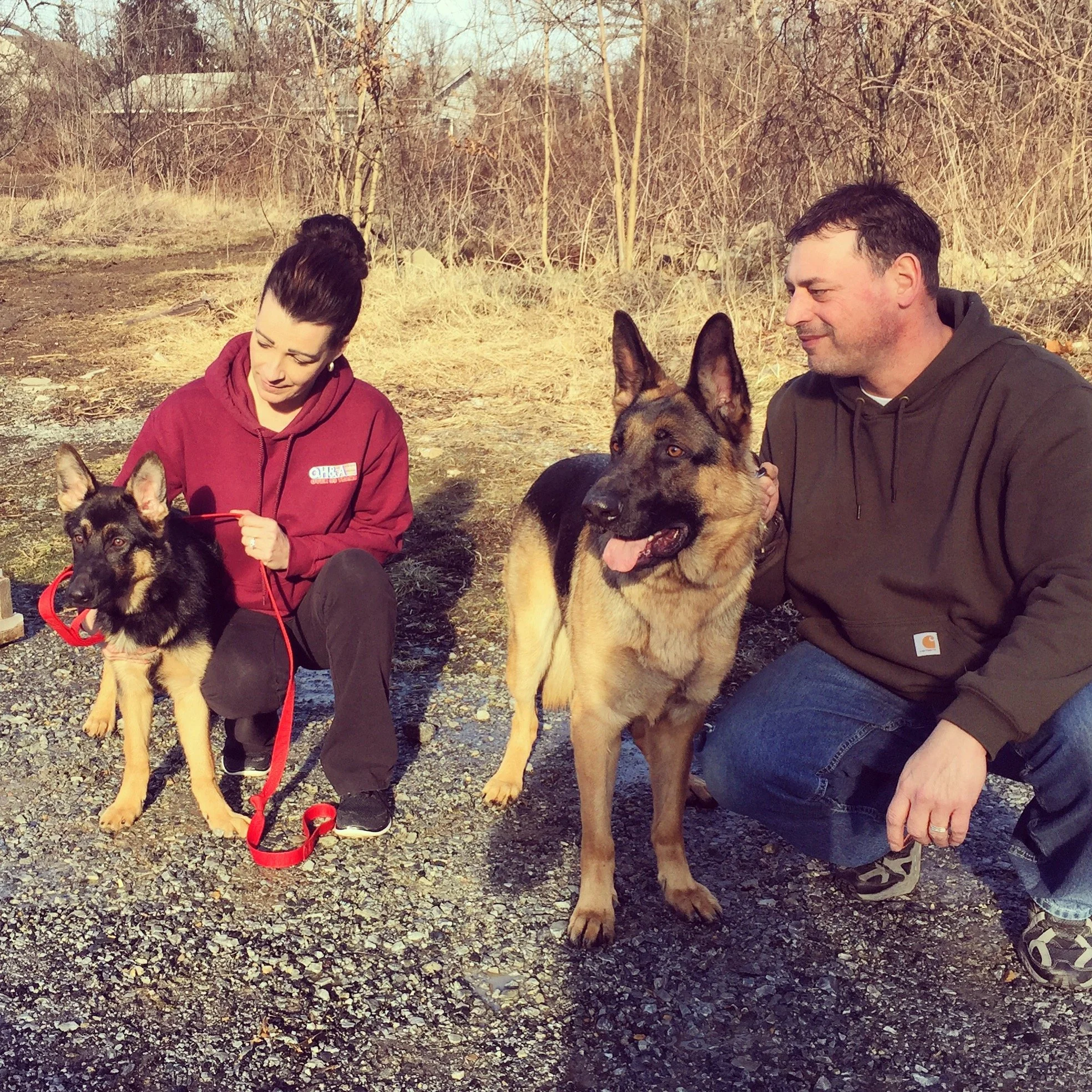 Two people sitting outdoors with two German Shepherd dogs, one dog sitting and the other standing, in a wooded area during the daytime.
