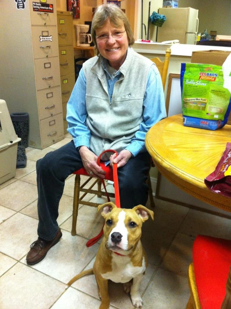 A woman wearing glasses, a light blue shirt, and a gray vest sitting on a chair in a kitchen, holding a red leash attached to a tan and white dog sitting on the tiled floor. The woman is smiling and the dog has perky ears and is looking at the camera