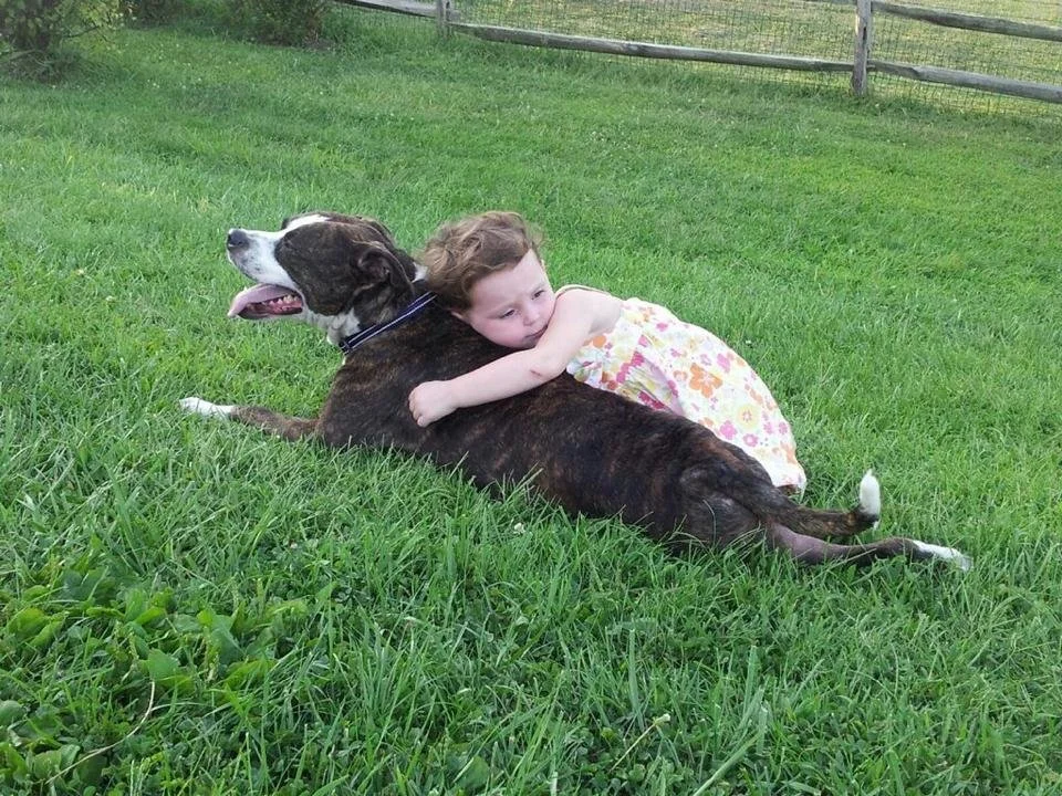 A young girl with light hair hugging a large brindle dog lying on green grass. The girl is resting her head on the dog's back with a calm expression. The dog appears relaxed with its eyes closed and tongue slightly out, wearing a collar, with a woode