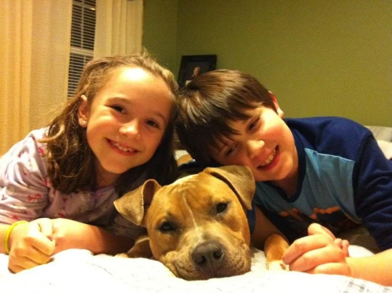 Two children, a girl and a boy, lying on a bed with a brown dog in between them. They are smiling and appear to be happy.