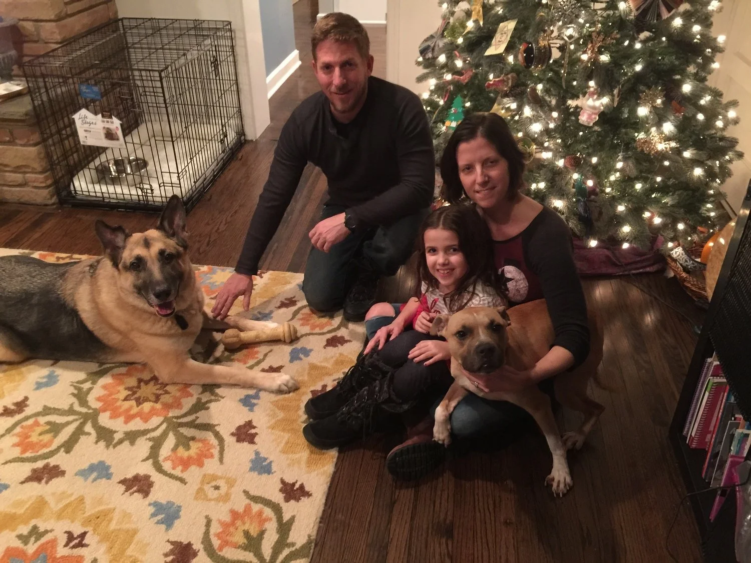 A family of four, with two dogs, posing by a decorated Christmas tree inside a house. The father is squatting near a dog lying on the carpet, the mother and a young girl are sitting on the floor holding the other dog, with a Christmas tree decorated 
