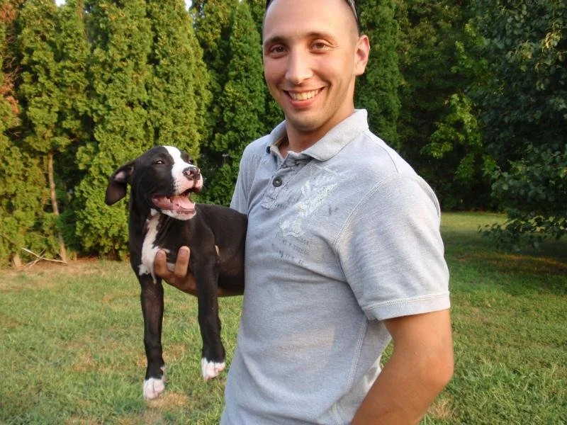A man holding a happy black and white puppy outdoors with trees in the background.