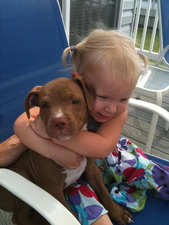 A young girl hugging a brown puppy with a white chest, sitting outside on a patio with a blue chair and a white railing in the background.