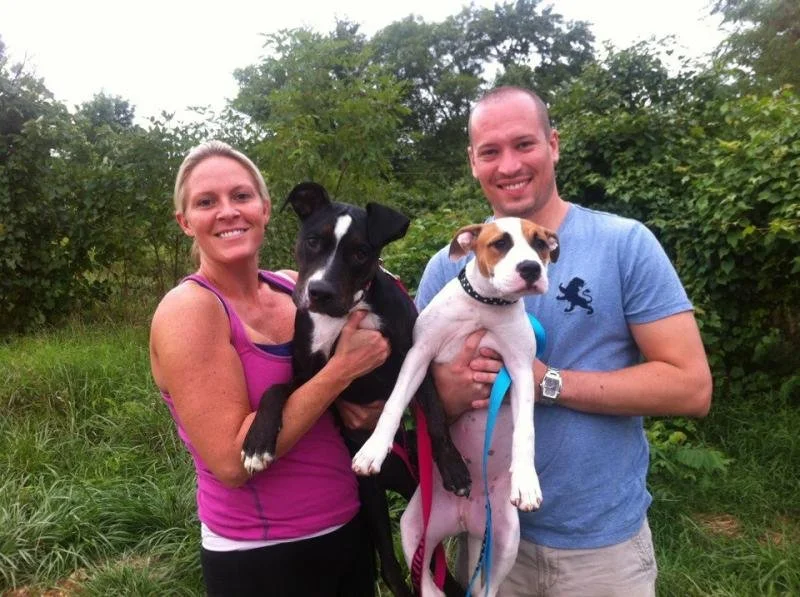 Smiling woman and man holding two dogs outdoors in a green park, with lush trees and grass in the background.