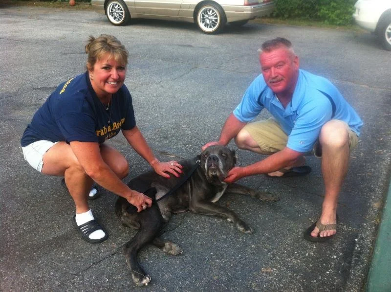 A woman and a man squatting on a parking lot, holding a large black dog lying on the ground. The woman is wearing a blue T-shirt, white shorts, and sandals, and smiling at the camera. The man is wearing a blue polo shirt, khaki shorts, and flip-flops