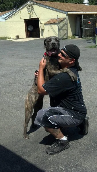 A man kneeling and hugging a large brindle dog on a parking lot. The man is wearing black sunglasses, a black shirt, and shorts. The dog is standing on its hind legs with its tongue out, and behind them are a beige building and some fencing.