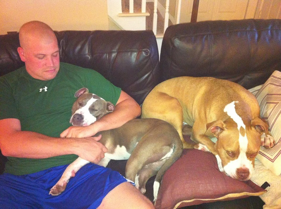 A man sitting on a black leather couch with two large dogs, one cuddling him and the other resting on a pillow nearby.