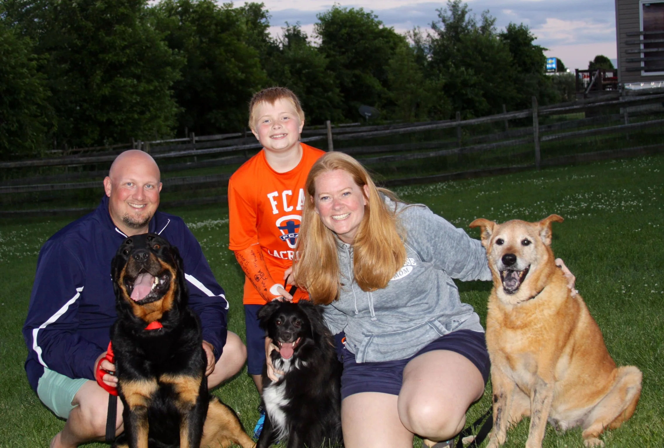 A family of four and three dogs posing for a photo outside in a grassy yard with trees and a fence in the background during the evening.