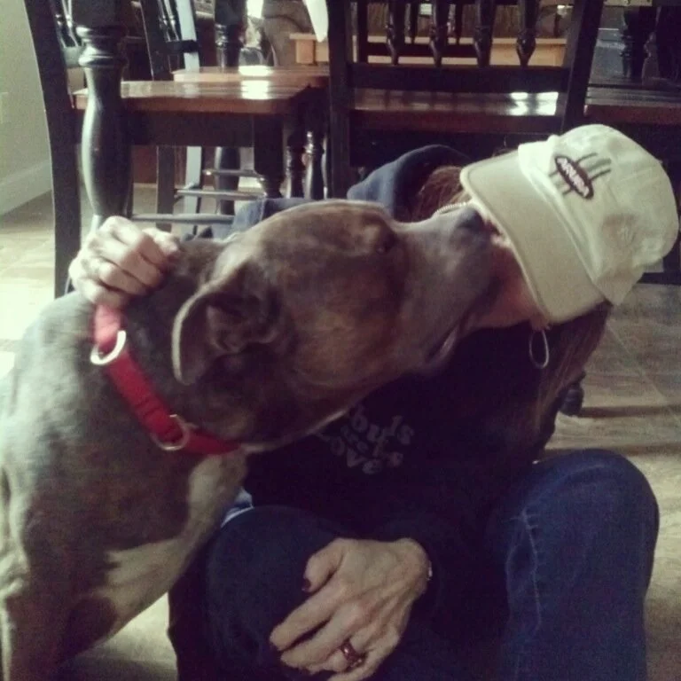 Person sitting on the floor in a restaurant, kissing a gray brindle dog on the head, with another person and tables in the background.