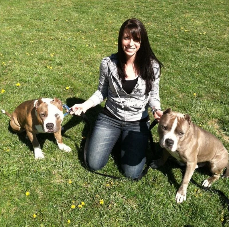 A woman with long dark hair, wearing a gray hoodie and jeans, kneeling on grass and holding two brown and white pitbull dogs on leashes, in a park on a sunny day.