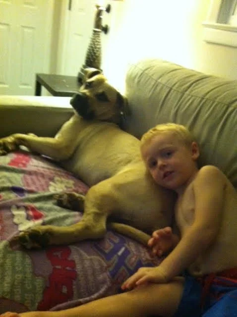 A young boy and a large dog lying together on a couch. The boy is shirtless and leaning against the dog, who is lying on its side. The setting appears to be a cozy living room with a blanket on the couch and a window nearby.