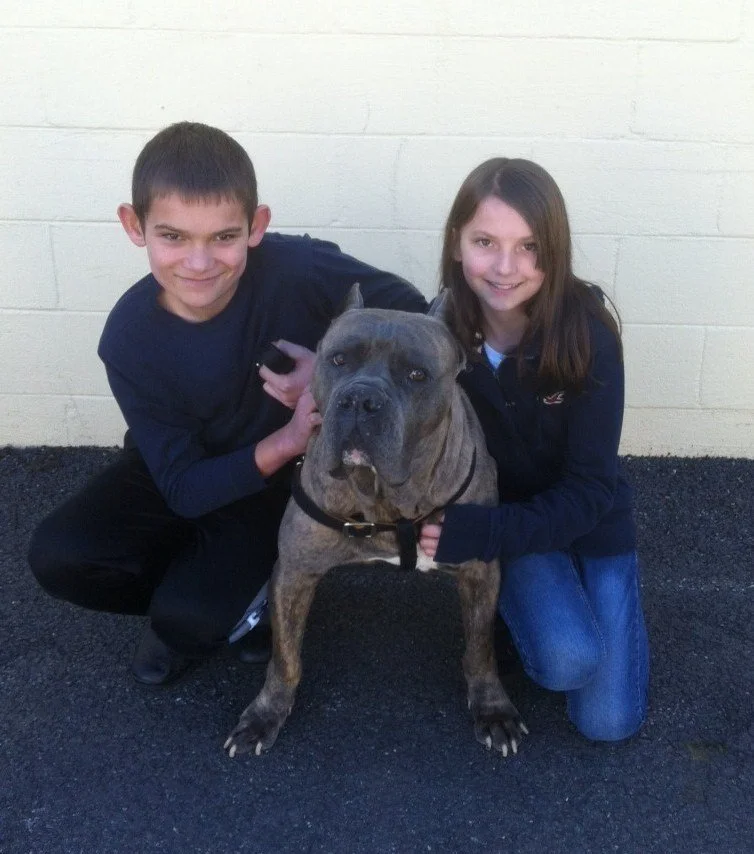 Two children, a boy and a girl, kneeling next to a large brindle dog in front of a white wall.