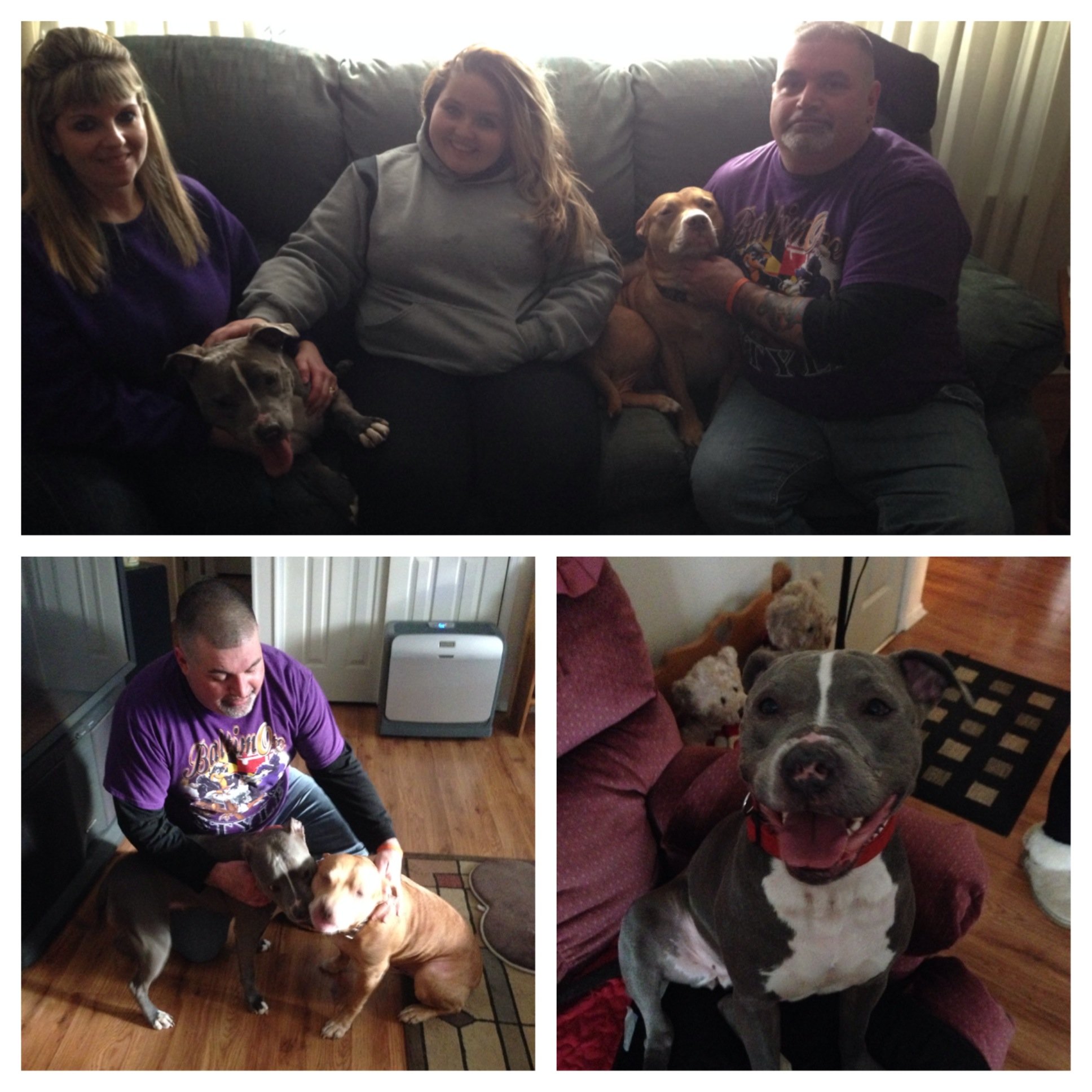 Four people and three dogs in a cozy living room. The group is sitting on a sofa and floor, with a person in a purple shirt and a dog in front, and two women and a man also with dogs around them. The women are smiling, and the setting appears warm an