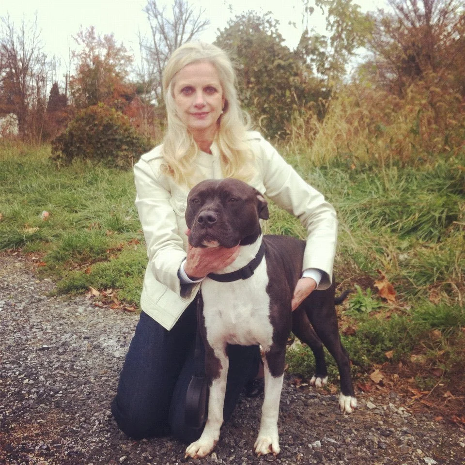 A woman with long blonde hair and a light-colored jacket kneels on a gravel path outdoors, holding a large black and white dog with a broad head and muscular build, surrounded by autumn trees and bushes.