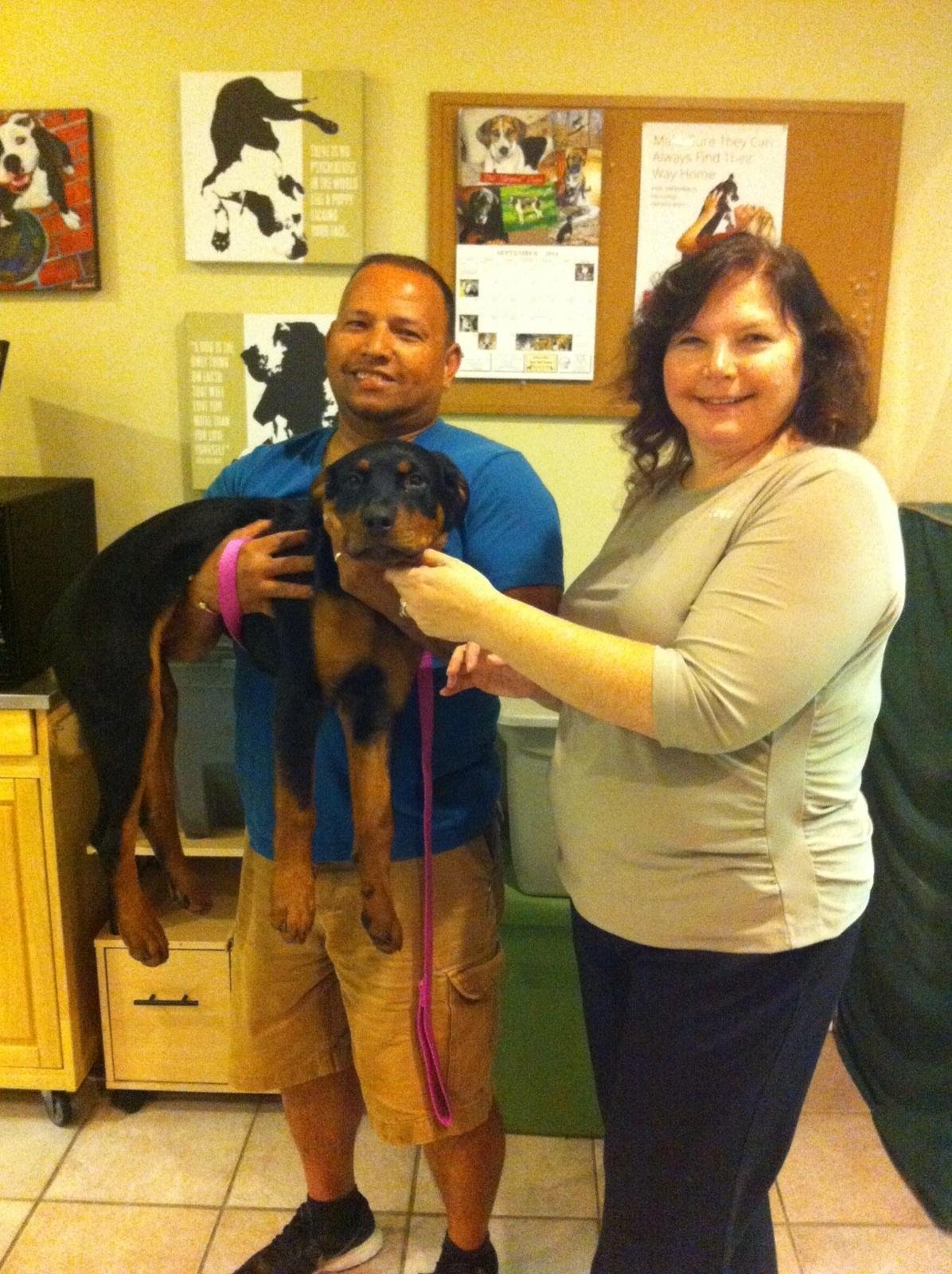 A man and woman holding a young black and brown dog in a room with framed dog art on the wall.