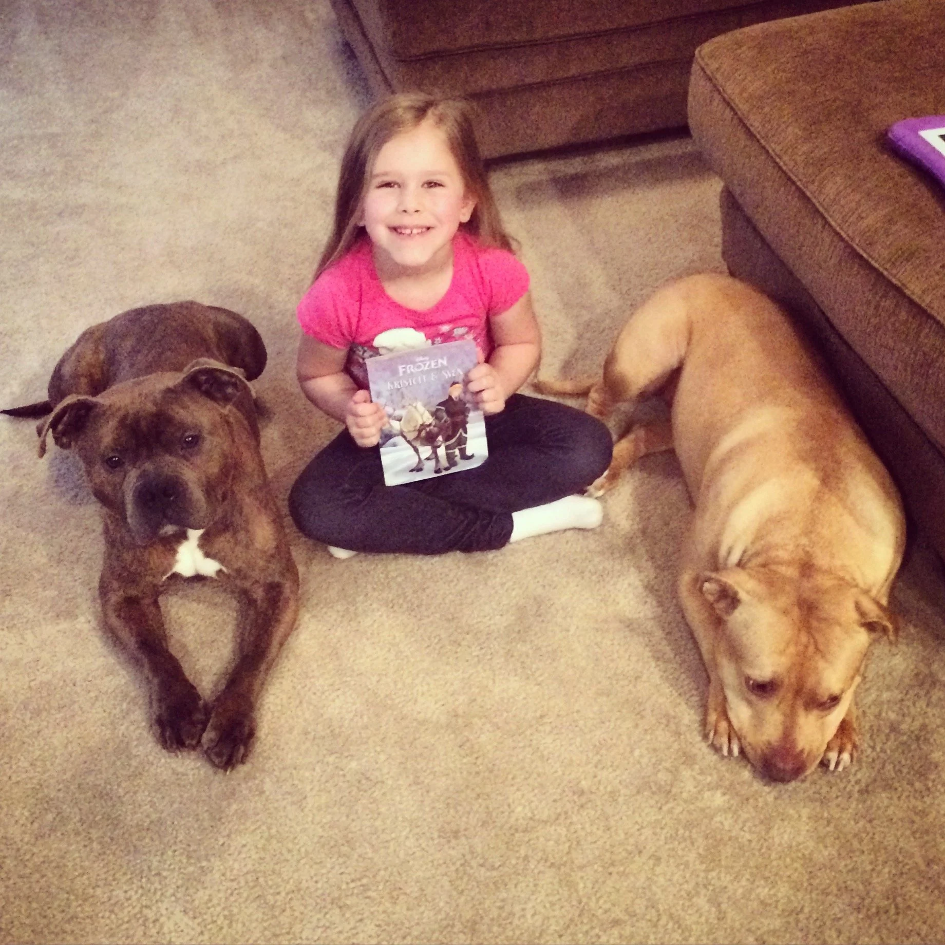 A smiling young girl sitting on carpeted floor with three dogs around her, holding a small Frozen-themed book.