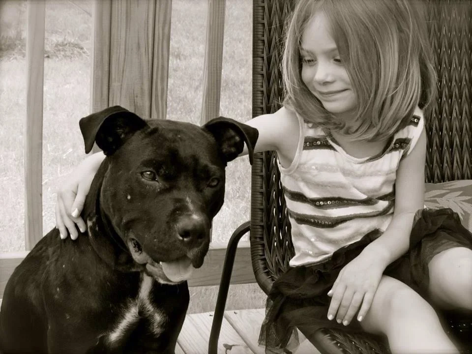 A young girl sitting on a chair smiling as she pets a large black dog.