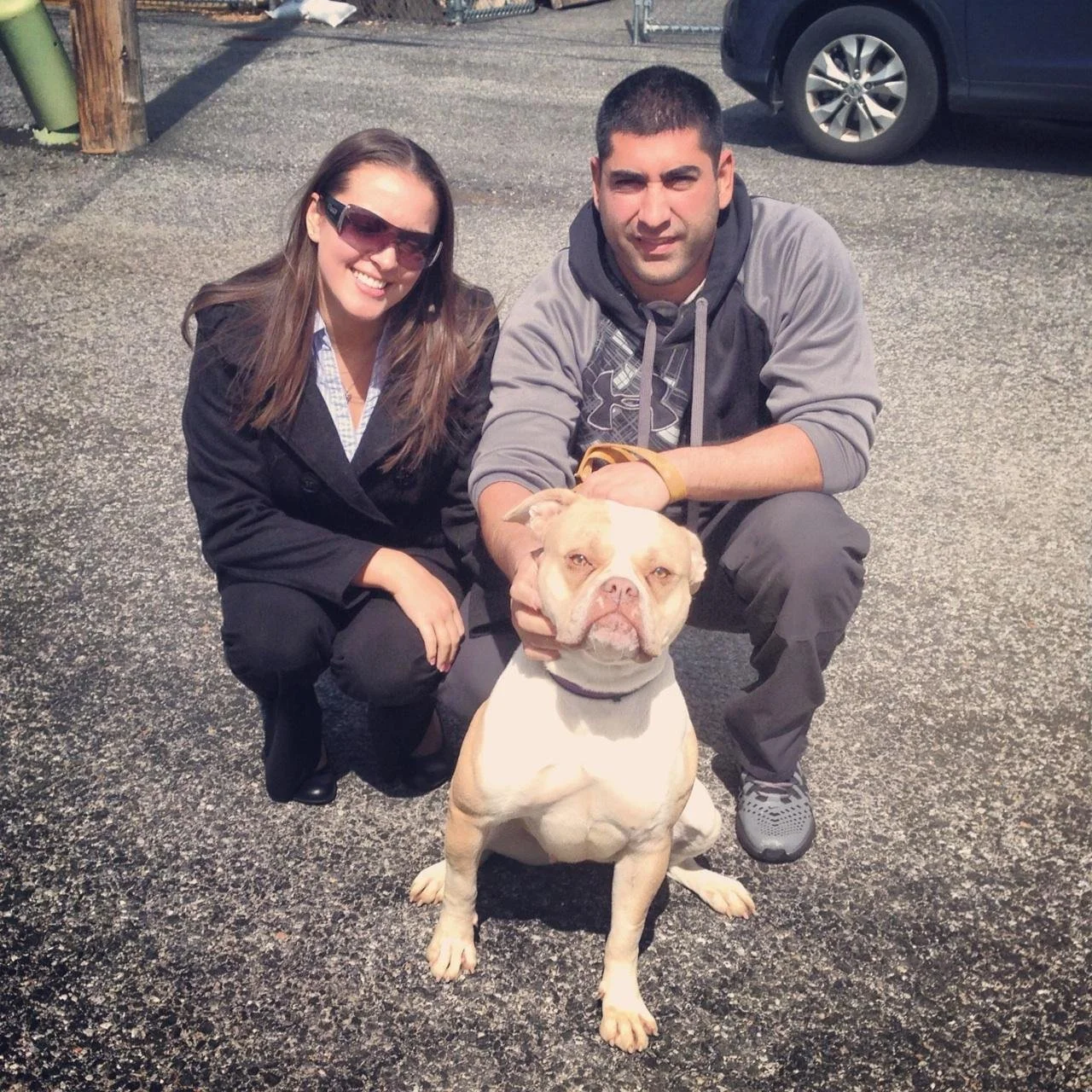 A woman and a man crouching next to a large tan and white dog with a broad face, sitting on a paved surface outdoors.
