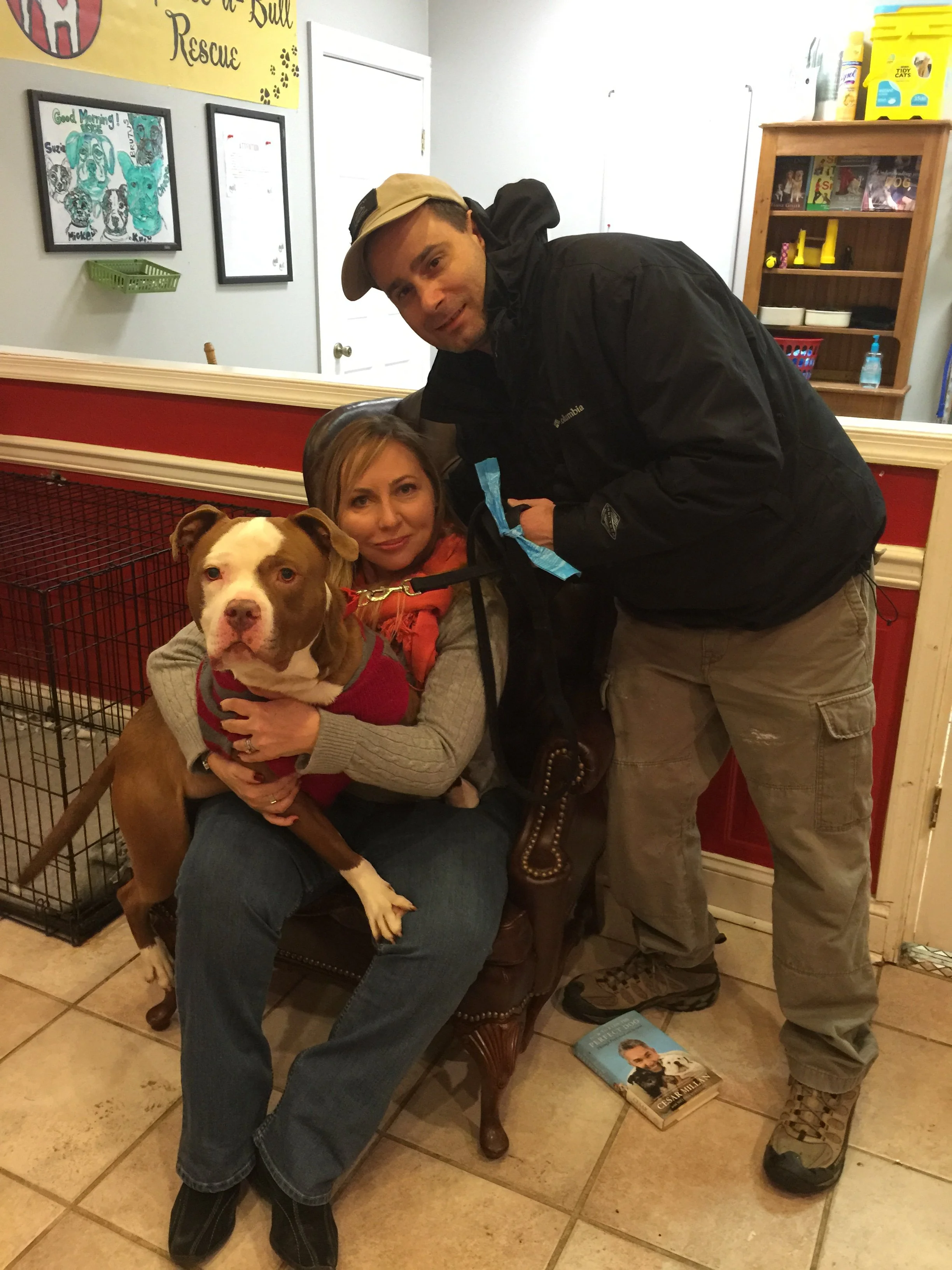 A woman sitting on a chair holding a brown and white dog, with a man leaning over her on the chair in a room with a red and white wall, wooden furniture, and a bookshelf in the background.