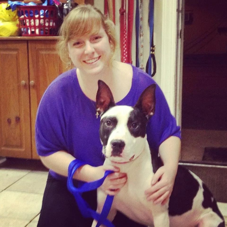 A young woman with blonde hair wearing a blue shirt, smiling and holding a black and white dog with striking markings and large ears inside a home.