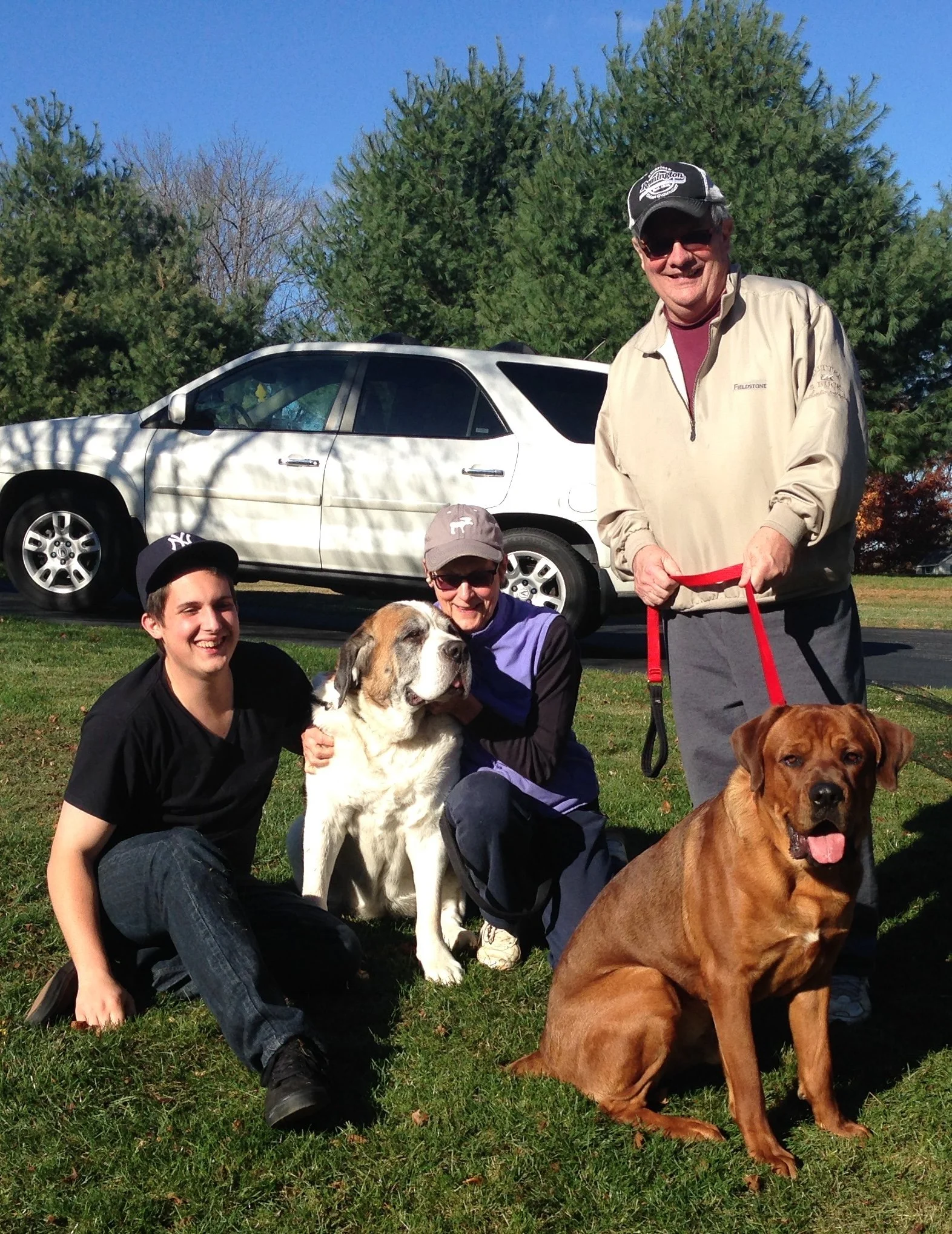 People and dogs outdoors next to a white car on grass with trees and blue sky in background.
