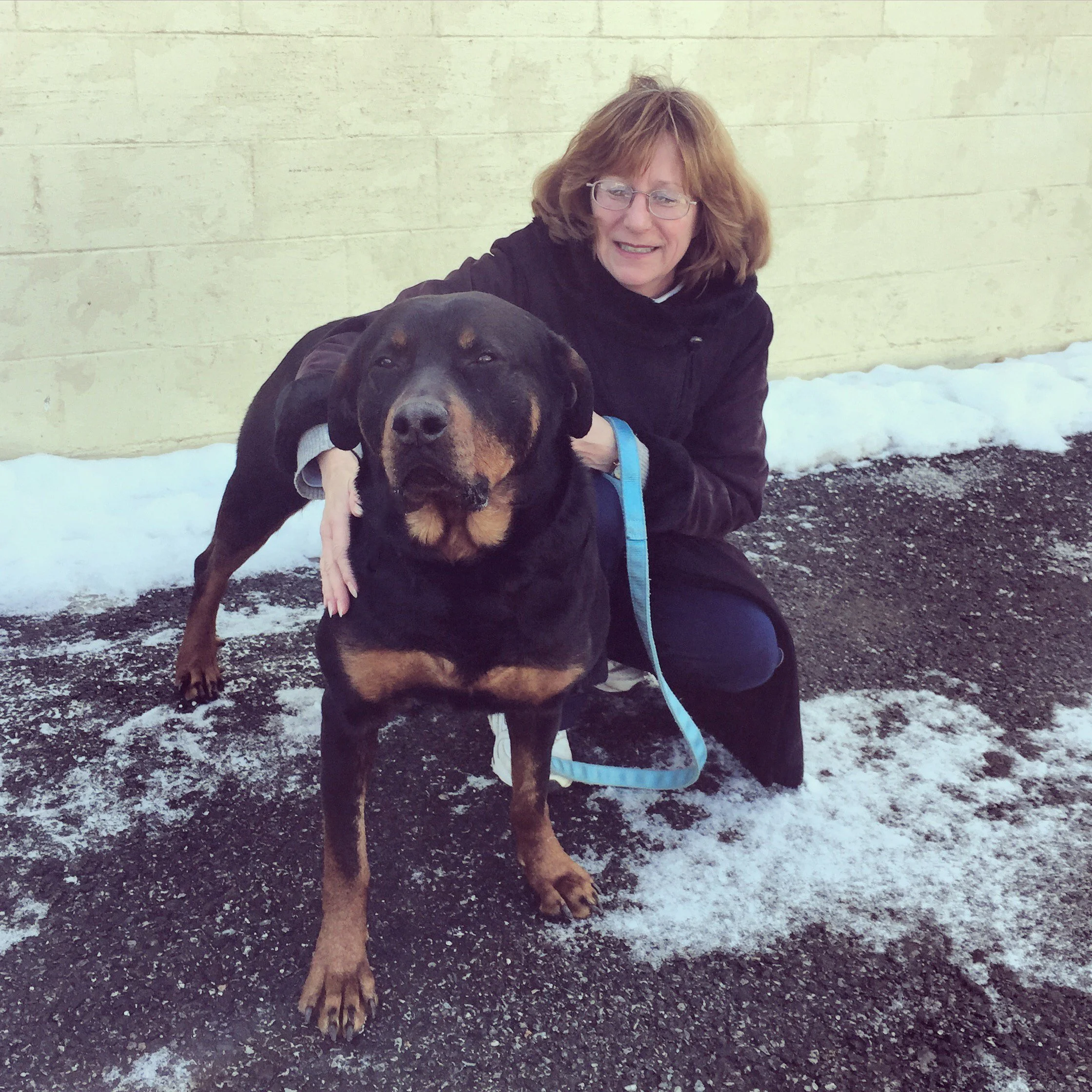 A woman with curly red hair, glasses, and a black jacket crouches next to a large black and tan dog outside in snowy weather, against a beige brick wall.