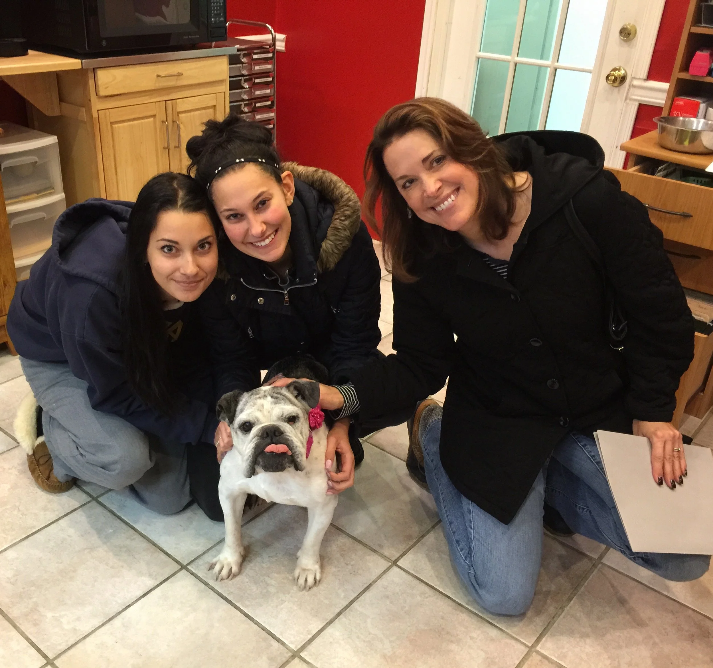 Group of three women posing around a white bulldog puppy indoors, with a red wall, a door with glass panels, and wooden furniture in the background.