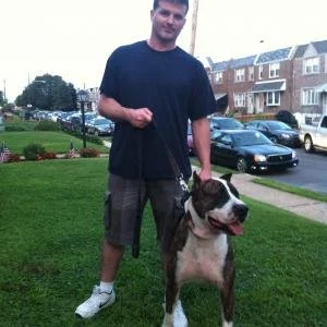 A man standing on a grassy patch holding a large dog on a leash, with houses and parked cars in the background.