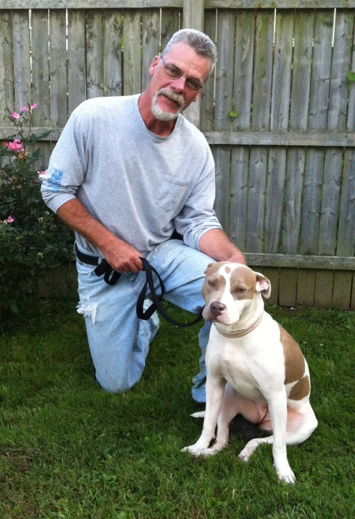 A man with gray hair and beard, wearing glasses, a gray long-sleeve shirt, and ripped jeans, holding a brown and white pit bull dog on a leash in a backyard with a wooden fence and some plants.