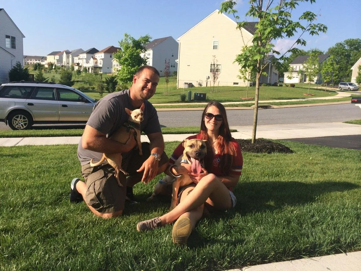 A man and woman with two dogs sitting on a grassy lawn in a residential neighborhood on a sunny day.