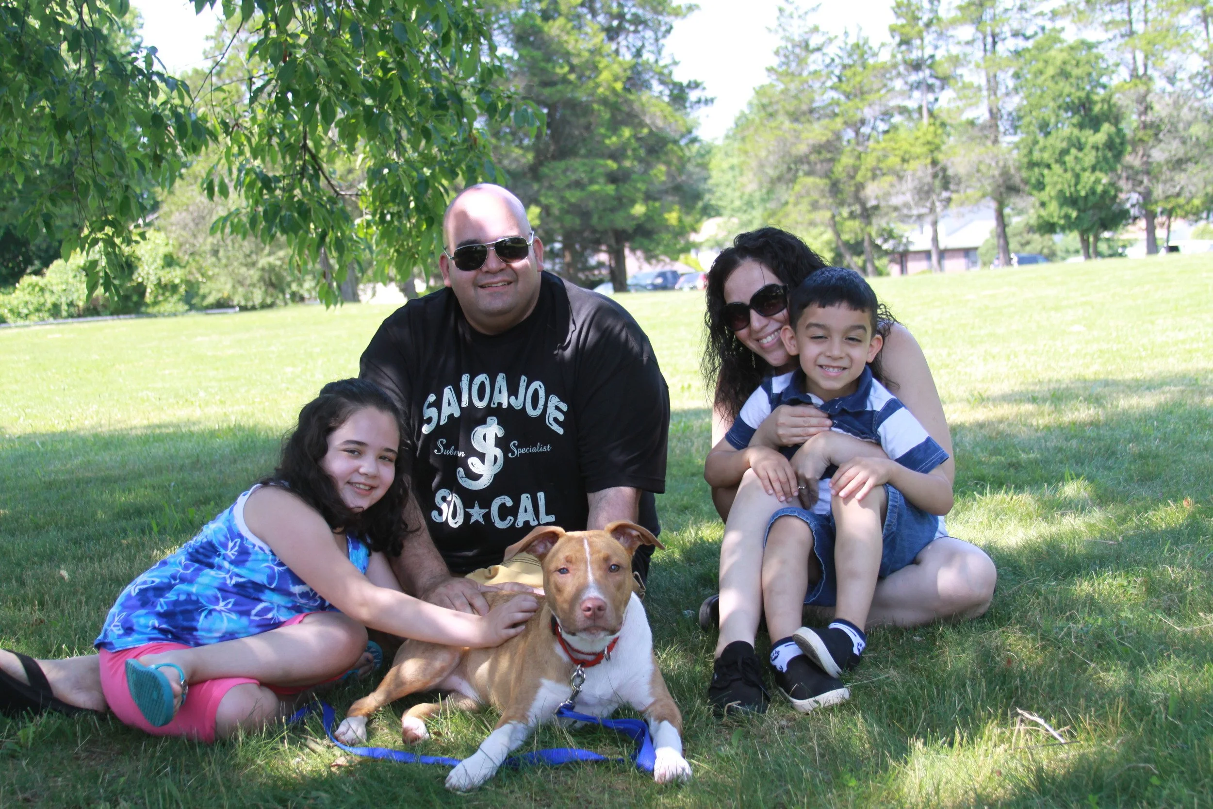 A family of four with two children, a man, and a woman, sitting on grass in a park with a dog. The man and woman are wearing sunglasses, and all are smiling. Trees and houses are visible in the background on a sunny day.