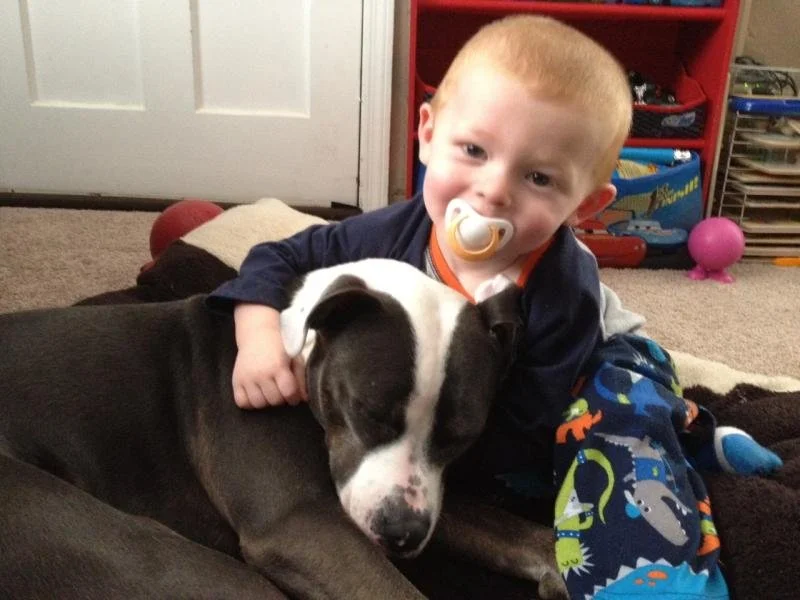 A young boy with short red hair and a pacifier in his mouth, sitting on the floor and cuddling a large black and white dog, in a room with toys and a door in the background.