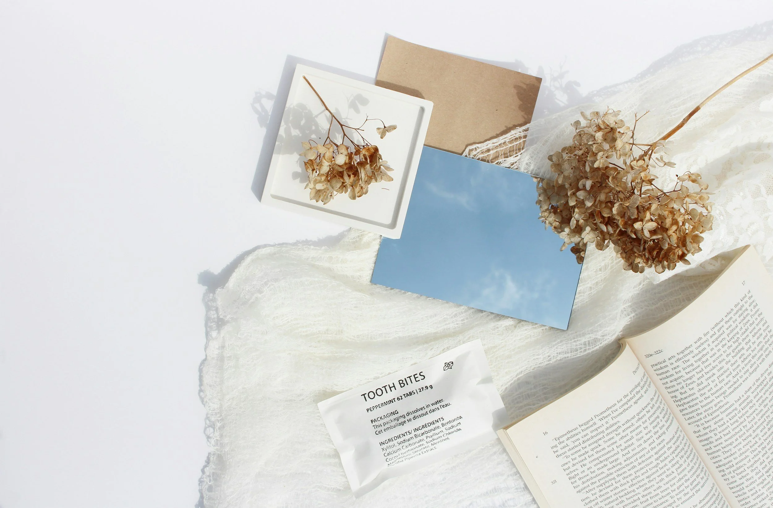 A dried flower arrangement, a mirror, and a paper packet labeled 'TOOTH BITES' on a lace-covered surface with an open book and printed text.