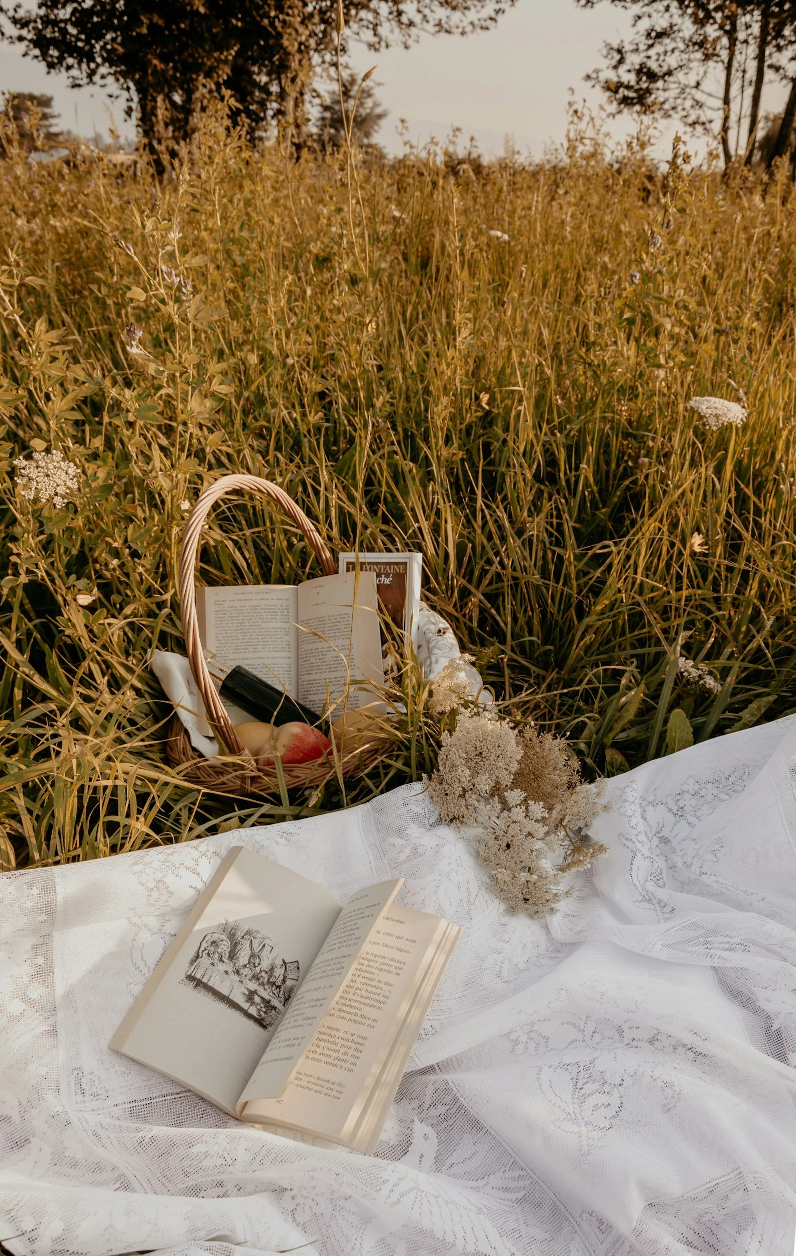 An outdoor scene with an open book on a white lace tablecloth, a wicker basket filled with apples, and dried flowers, set on a blanket in a grassy field with trees in the background, during sunset.