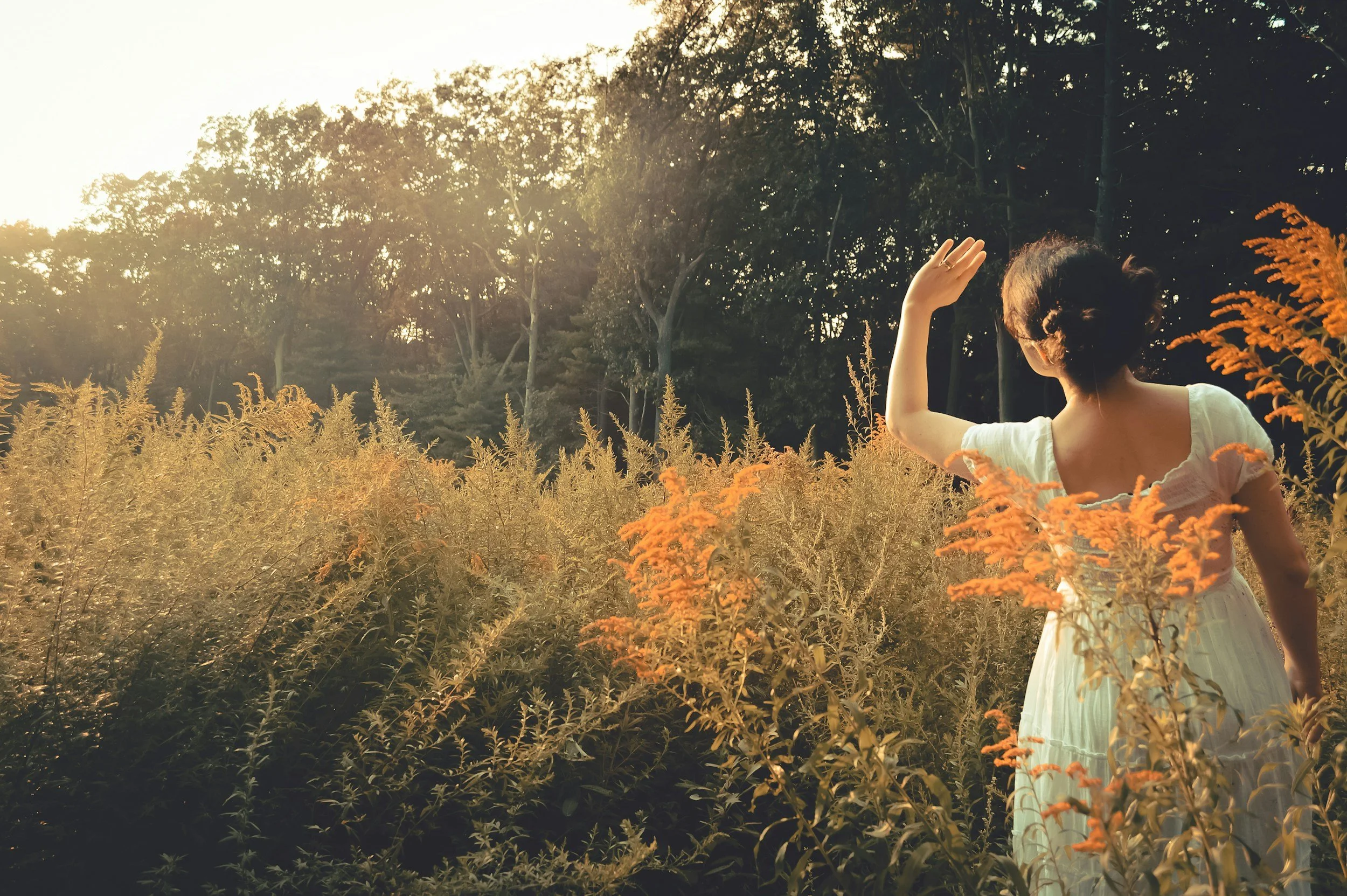 A woman in a white dress standing in a field of orange flowers at sunset, with trees in the background.