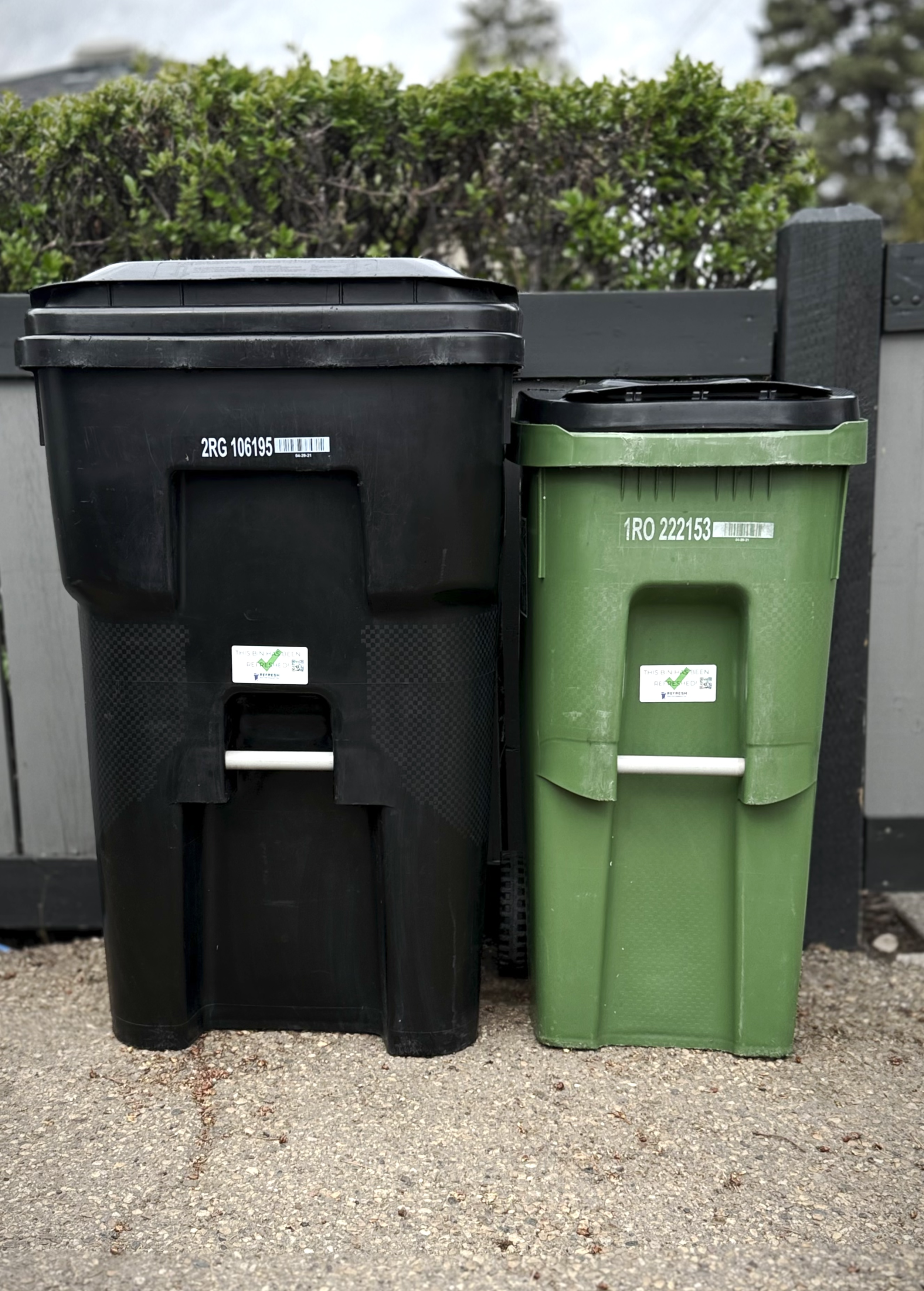 Two outdoor trash bins, one black and one green, placed side by side on a gravel surface. Behind them is a wooden fence and a green hedge with trees in the background.