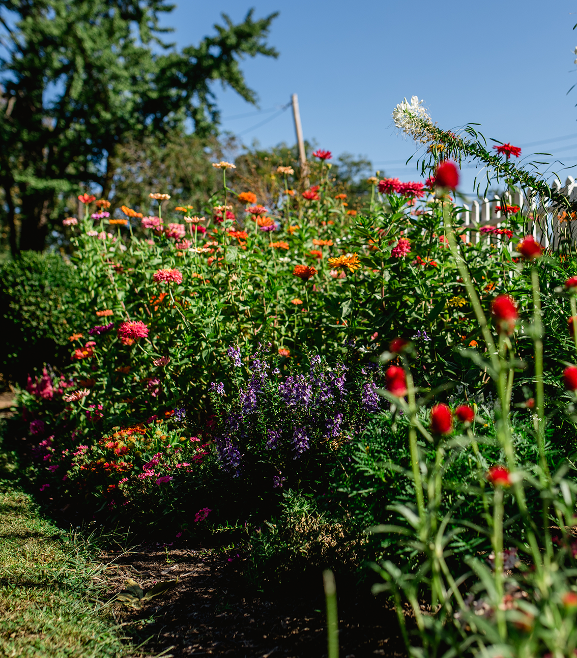 Woodford Mansion gardens.png