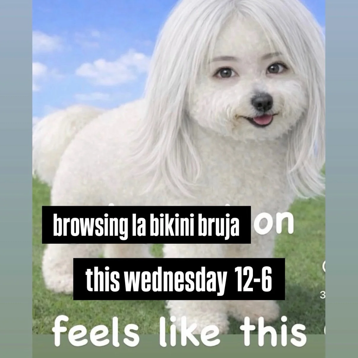 The weather is heating up and i&rsquo;ve got lots to shop this wednesday at the lawn of delta gamma! Tons of microkinis and bringing all my #toowild collection so you can rep 💙❤️ #wildcatstyle #upcycled #labikinibruja #mememonday