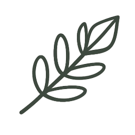 A simple line drawing of a leaf with multiple smaller leaves branching off from a central stem.