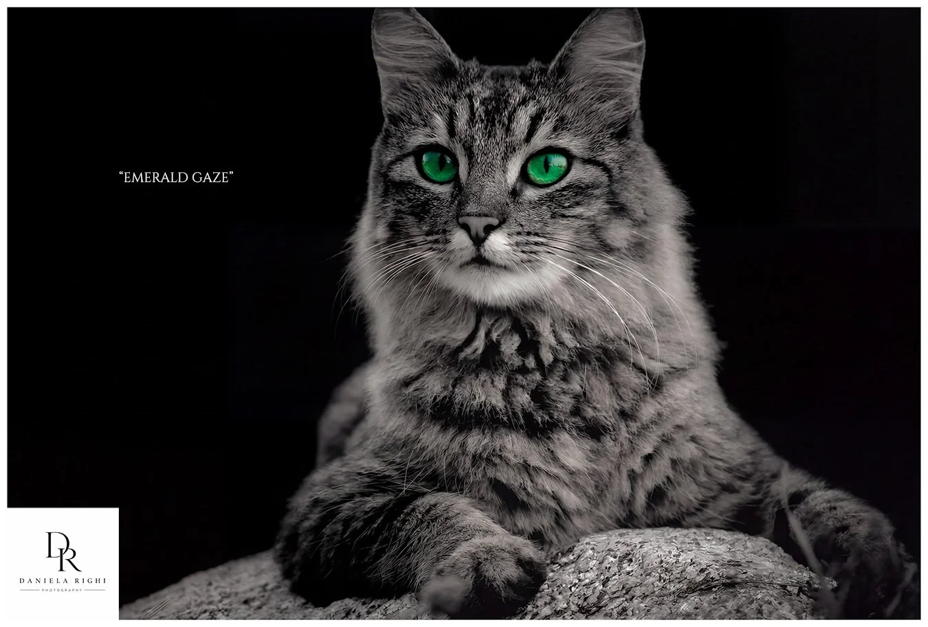 Emerald-Gaze-Daniela-Righi.jpg
